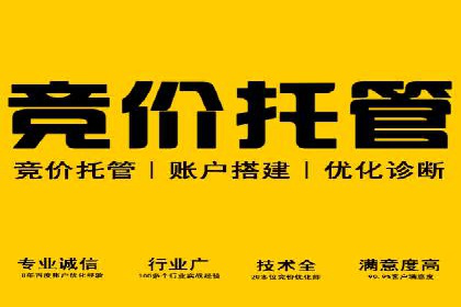 某电商平台的成功信息流代运营策略